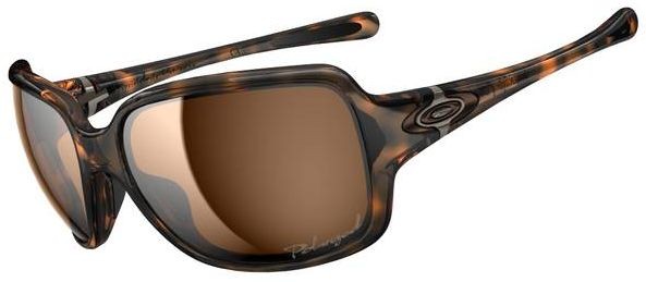 Break Point in Tortoise / Bronze Polarized