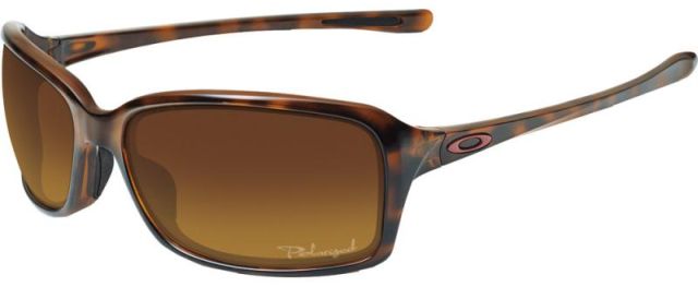 Dispute in Tortoise / Brown-Clear Gradient Polarized