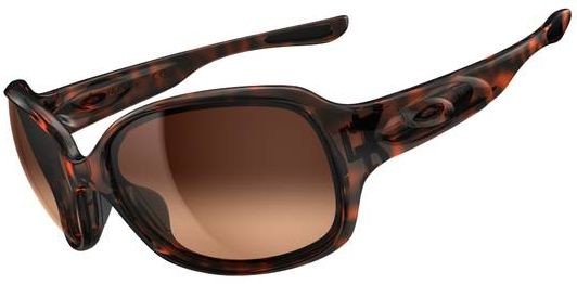 Drizzle in Tortoise / Dark Brown Gradient