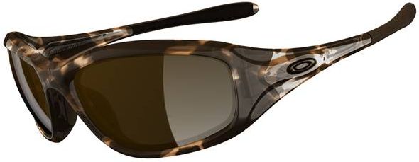 Encounter in Topaz Tortoise / Dark Bronze