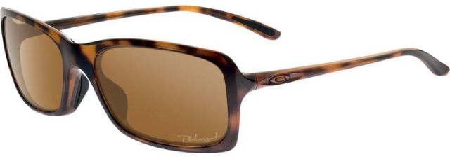 Hall Pass in Tortoise / Bronze Polarized
