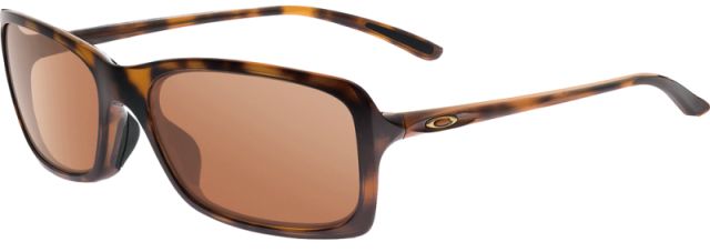 Hall Pass in Tortoise / VR28 Black Iridium