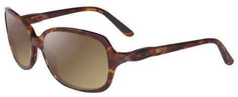 Obligation in Havana / Dark Brown Gradient