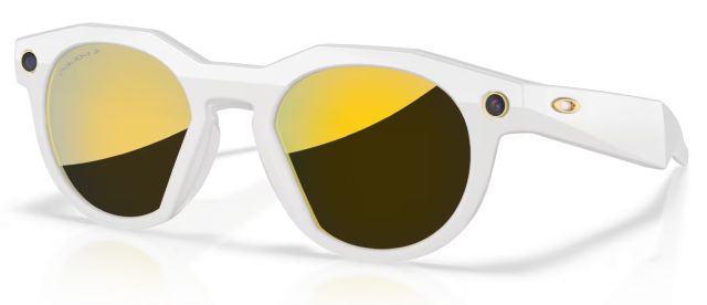 Meta HSTN in Warm Grey / Prizm 24K Gold Iridium Polarized