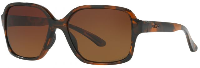 Proxy in Tortoise / Brown Gradient Polarized