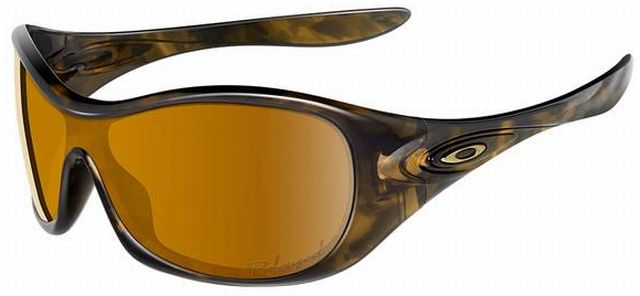 Speechless in Amber Tortoise / Bronze Polarized