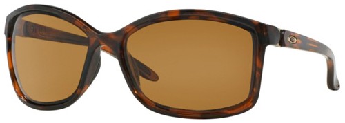 Step Up in Tortoise / Bronze Polarized