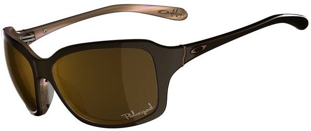 Taken in Dark Brown / Bronze Polarized