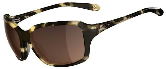 Taken in Retro Tortoise / VR50-Brown Gradient