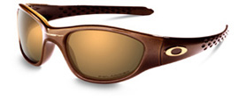 Tens in Black Gold / Gold Iridium Polarized