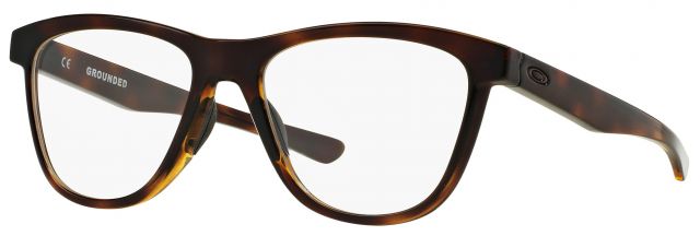 Grounded in Brown Tortoise (53) / Clear