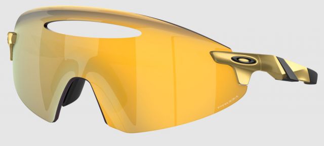 EncoderEllipse_Gold_Prizm24k.JPG