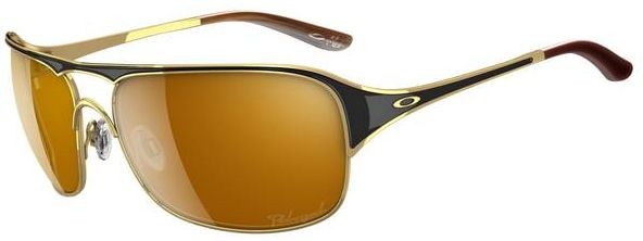 Cover Story in Polished Gold / Bronze Polarized