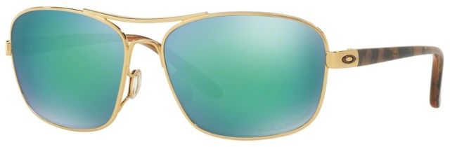 Sanctuary in Polished Gold / Jade Iridium Polarized