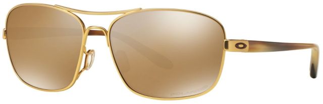 Sanctuary in Gold Satin / Tungsten Iridium Polarized